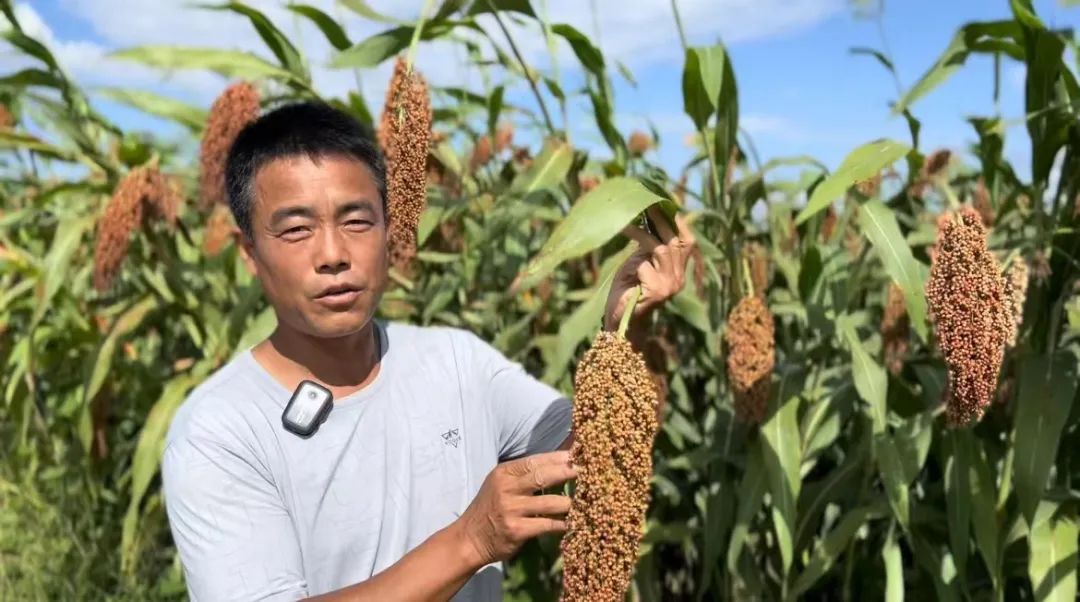 185游戏平台